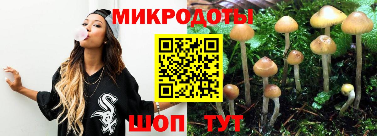 Галлюциногенные грибы Psilocybine cubensis Назарово